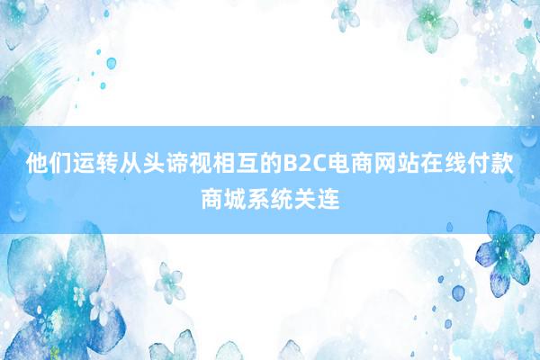 他们运转从头谛视相互的B2C电商网站在线付款商城系统关连